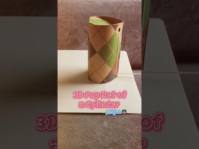 3D Pop Net of a Cylinder #3d #net #popnet #solidfigures #cylinder