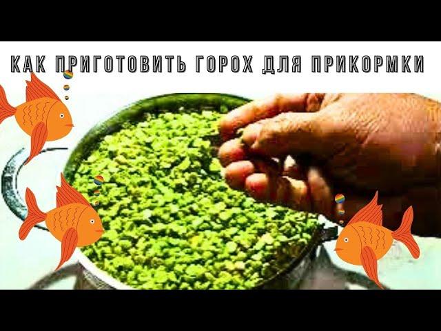 Мой  лучший рецепт как я готовлю жидкий горох для прикормки