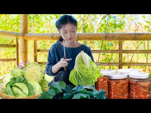 How to Process Vietnamese Cabbage into Korean Kimchi, a Side Dish for Grilled Meals | Nguyễn Lâm Anh