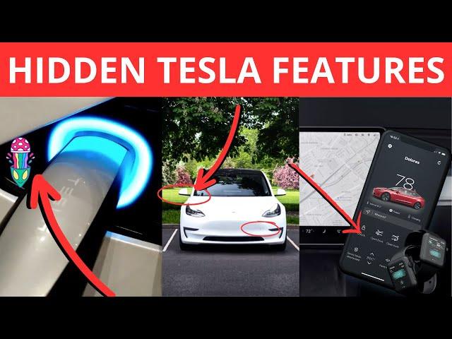 11 HIDDEN TESLA FEATURES Even Owners Don't Know About