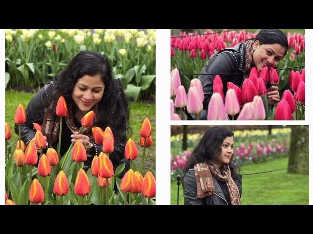 yeh kahan agaye hum//original spot //destination shoot //Tulip garden #nomusic #onlyvoice #Amsterdam