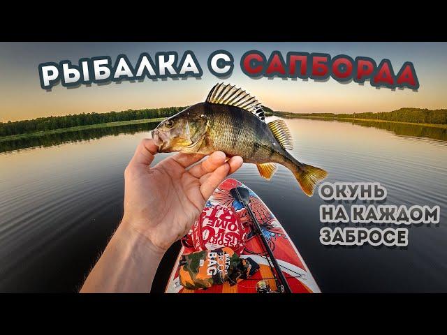 Рыбалка с Сапборда / Окунь на каждом забросе / Сапборд с Aliexpress / Team Dubna Backwater