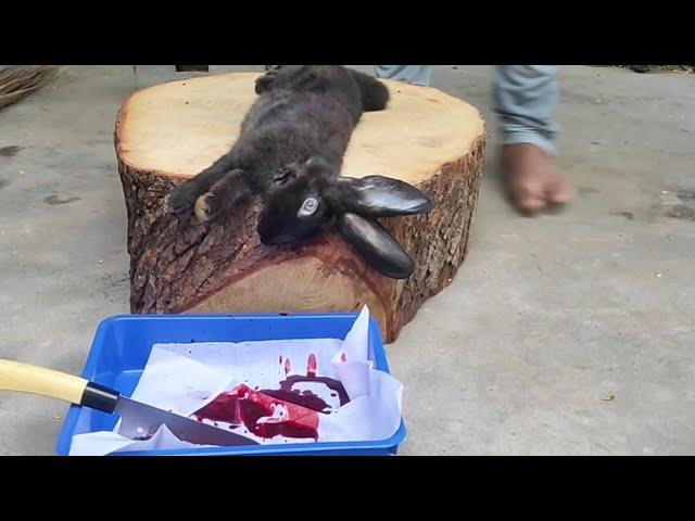 Rabbit meat cutting ||muyal kari #meatcuttingskills #whitemeat  .