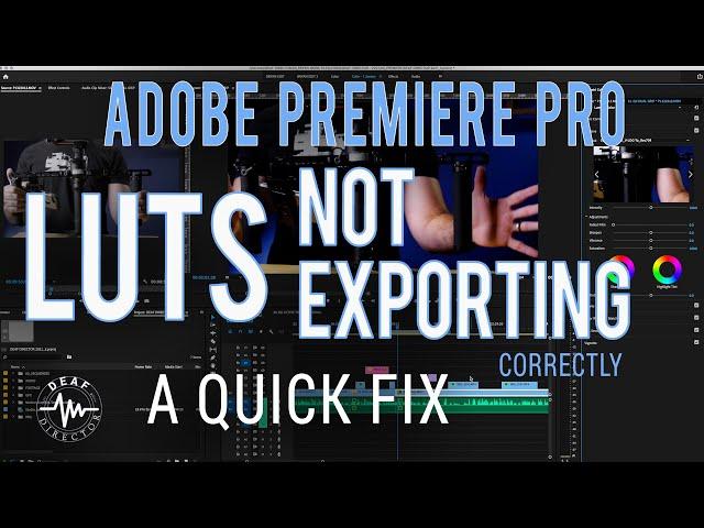 LUTS NOT EXPORTING FROM ADOBE PREMIERE CORRECTLY : QUICK FIX