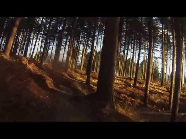 Cannock Chase Forest Commission (Follow the Dog 2 of 3)