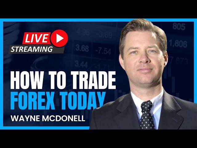 Live Training Every Monday | #forex #trading #stockmarket #gold #bitcoin #crypto