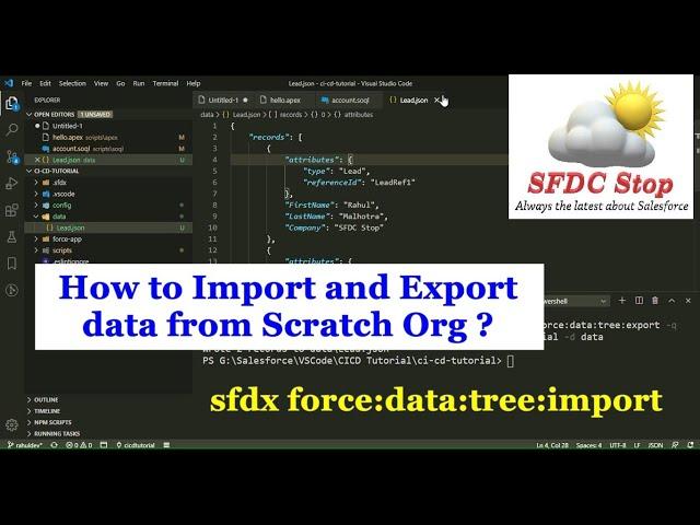 Import and Export Data using SFDX CLI in VSCode | Scratch Org | Salesforce Tutorial