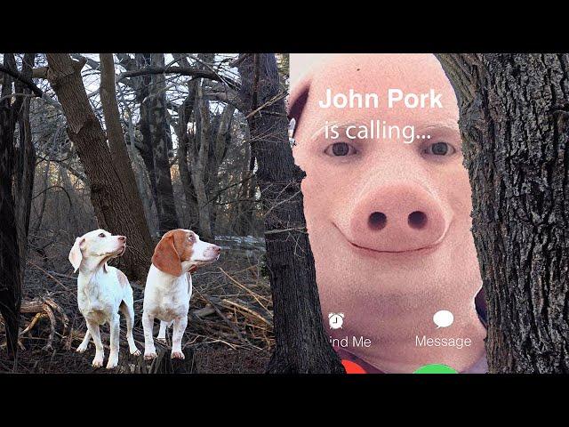 John Pork Calls Dogs from Woods!