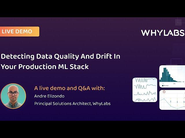 WhyLabs Demo and Q&A