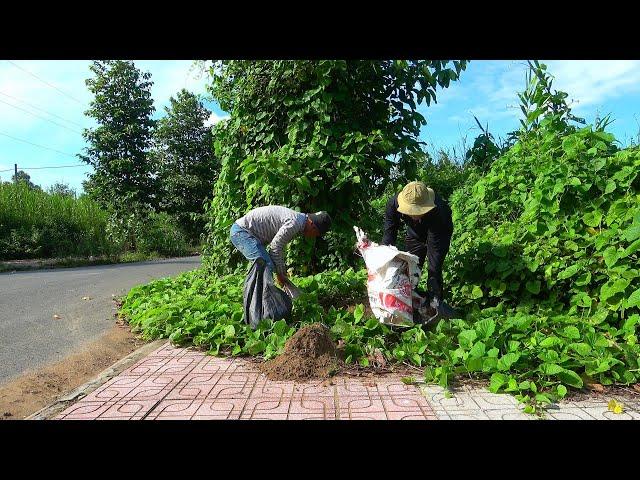 We were exhausted from cleaning the entire jungle that was on the sidewalk in 10 hours