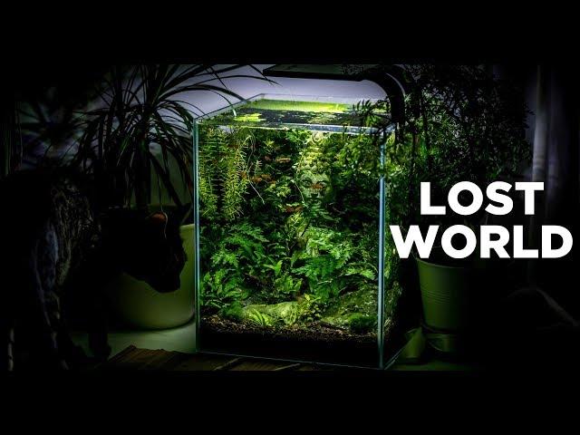 My LostWorld nano tank - The ultimate nature aquarium for beginners