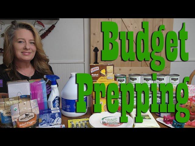 $30 Budget Prepper Pantry Stock Up from Dollar General