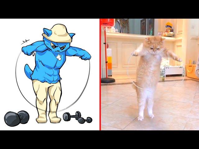 Cat Memes: We Live, We Love, We Lie - Smurf Cat  Trending Funny Animals 2024 