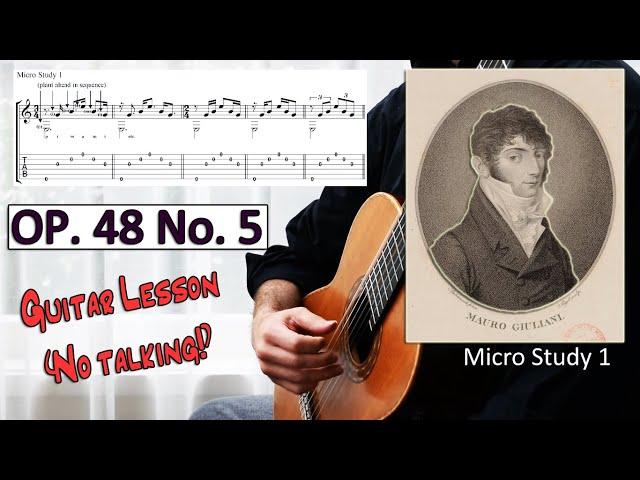Mauro Giuliani Op. 48 No. 5 - (no talk) guitar lesson