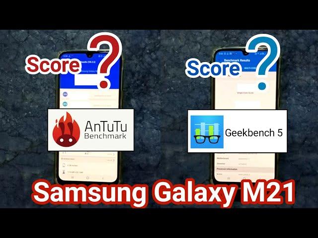 Samsung Galaxy M21 AnTuTu Benchmark Test and Geekbench 5 Test |  AnTuTu | Geekbench 5