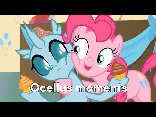 Ocellus moments