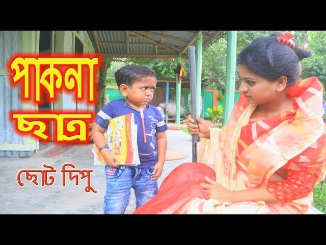 পাকনা ছাত্র | ছোট দিপু | Pakna Chatro | Chotu Dipu | Dipur Comedy |Music Bangla Tv