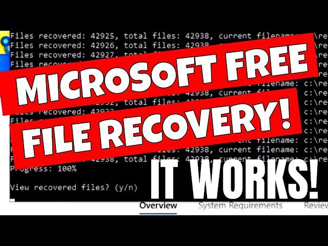 FREE File Recovery From MICROSOFT Windows File Recovery