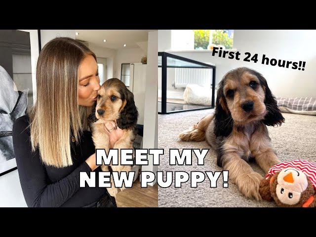 PICKING UP MY NEW COCKER SPANIEL PUPPY! FIRST 24 HOURS - vlog