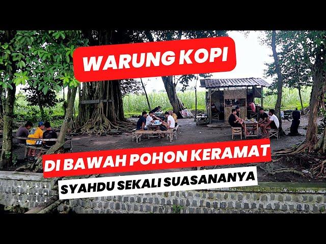 DI BAWAH POHON KERAMAT ADA WARUNG KOPI SYAHDU SEKALI ??? LOKASI SUMBER KENDUNG PAGU KEDIRI