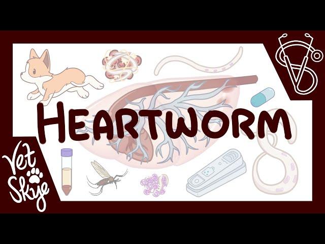 Heartworms Don't Actually Go To the Heart Unless They ABSOLUTELY Have To!