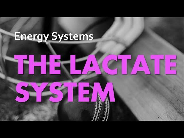 The Lactate System | Energy Systems 03 | Anatomy & Physiology