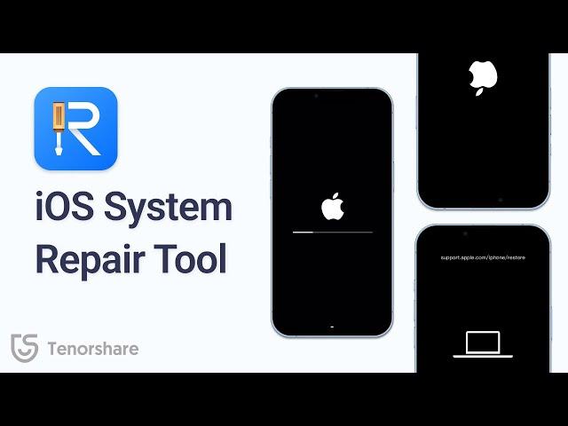 Tenorshare ReiBoot - 2023 Best iOS System Repair & Reset Tool for All iOS Bugs (iOS 16)