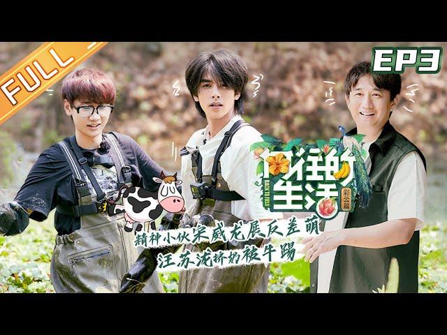 【FULL】"Back to field S4" EP3: Song Weilong is lively and cute! Viya& Silence Wang Caring for farmers