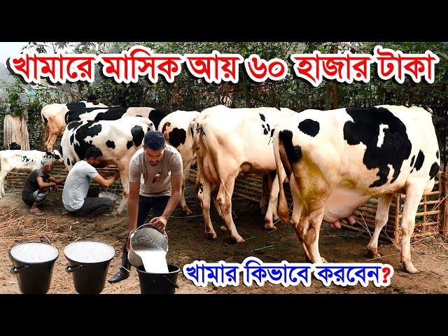 গাভী গরুর খামার করে মাসিক আয় করছেন ৬০ হাজার টাকা | গরুর খামার সফল উদ্যোক্তা বাবু #খামারকিভাবেকরবেন?