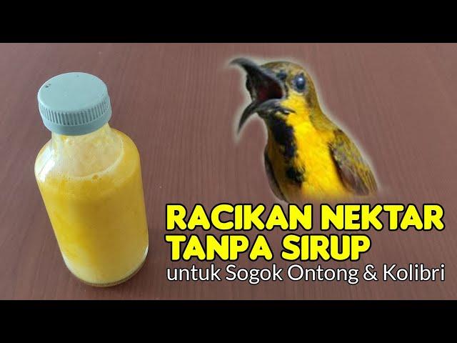 BARU... CARA MEMBUAT NEKTAR SOGOK ONTONG TANPA SIRUP |RACIKAN NEKTAR UNTUK SOGOK ONTONG SUPAYA GACOR