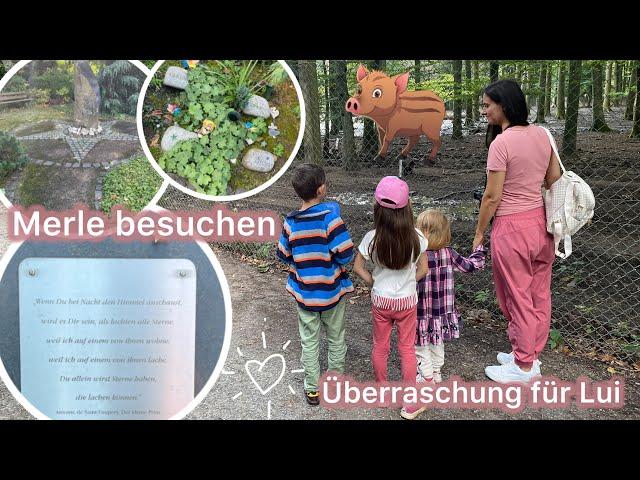 Merle auf dem Friedhof besuchen | Eltern zuhause besuchen | Überraschung für Lui | Marytuga