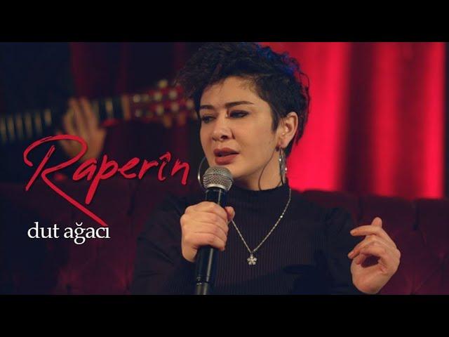 Raperin - Dut Ağacı | 2022 Akustik Şarkılar