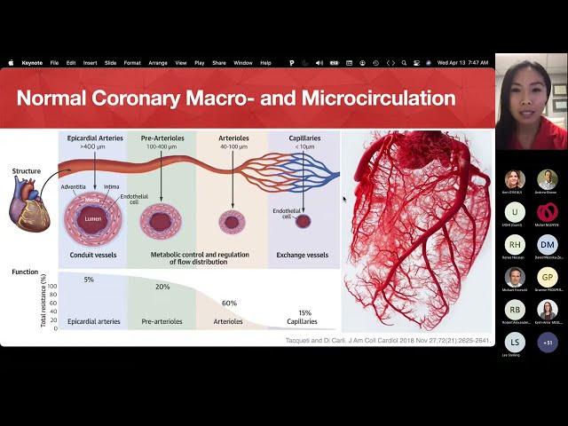 Ischemia w/ no Obstructive Coronary Arteries, The Role of Cardiovascular Magnetic Resonance Imaging