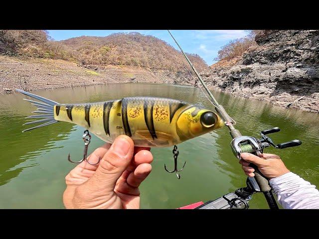 Buscando el Pescado MÁS GRANDE del Lago! | Pesca con Señuelos Gigantes