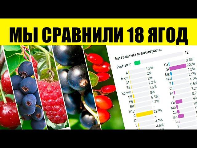 Find out the Most Healthy and Useless Berries