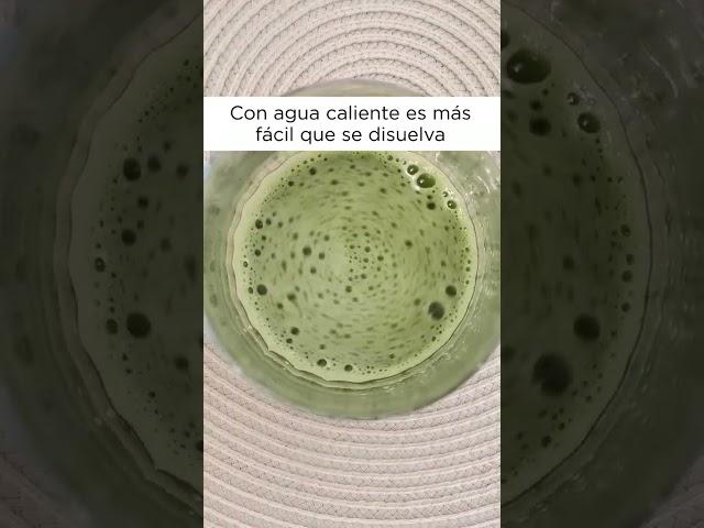 Matcha para principiantes  ¿Cómo prepararlo?