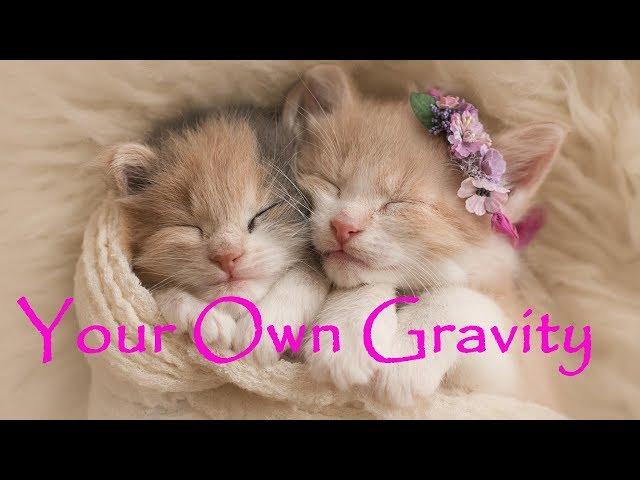 Your Own Gravity ~ Chill out mix ~  Easy Listening, Lo-Fi, Lounge ~ Listen and relax