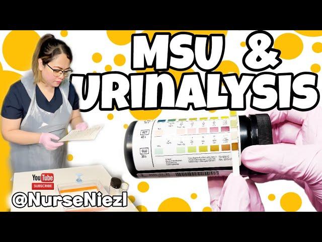 MSU & URINALYSIS : NMC OSCE  #nurseniezl #niezl2023