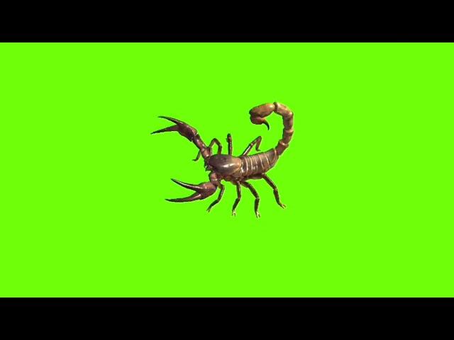 Jumping scorpion green screen।cartoon green screen।scorpion green screen।ostad animation