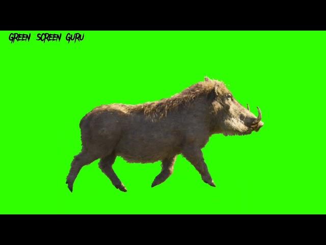 Green Screen Animation - Lion King  (COPYRIGHT FREE)#greenscreen #chromakey