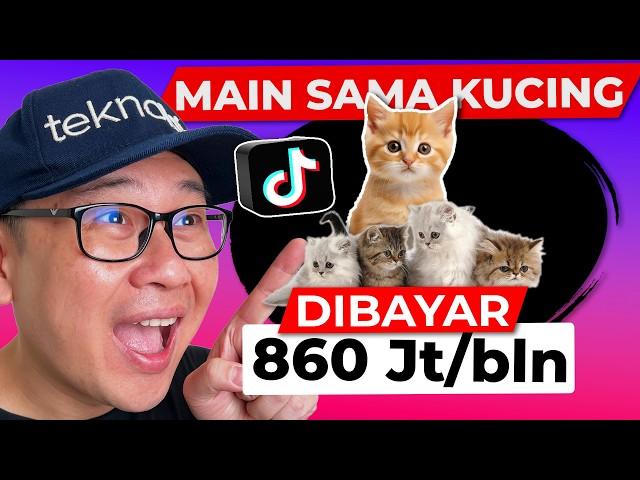 860 Jt sebulan Main sama KUCING PELIHARAAN di Tiktok dibayar tiap hari