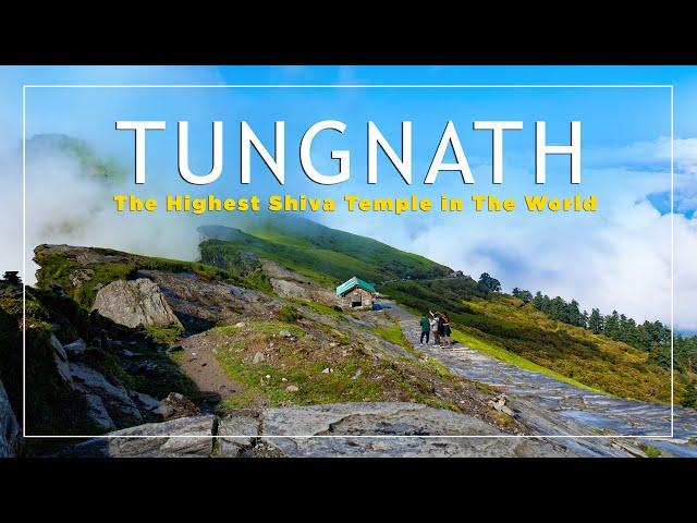 TUNGNATH Trek | Chopta Tungnath Trek | Chopta Mini Switzerland of India - Cinematic Travel Video