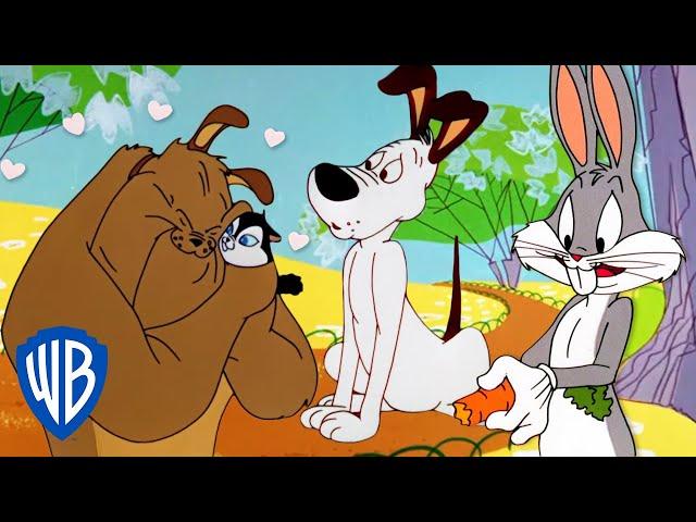 Looney Tuesdays | Looney Dogs  | Looney Tunes | @WB Kids