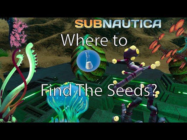 Where to Find All The Seeds For Hatching Enzyme! Subnautica