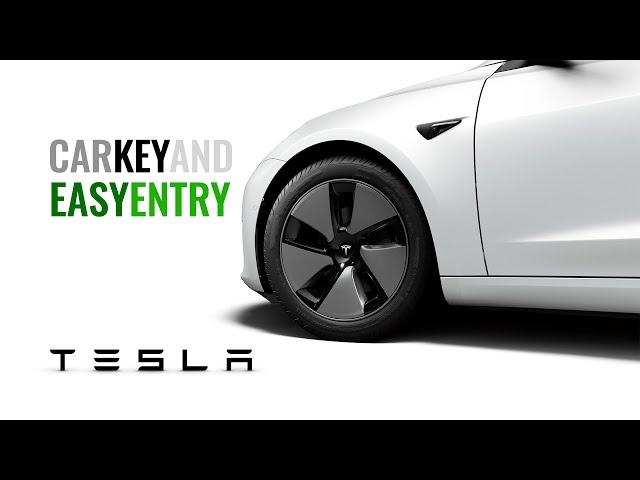 Tesla Easy Entry and Car Key #Tesla #EasyEntry #CarKey