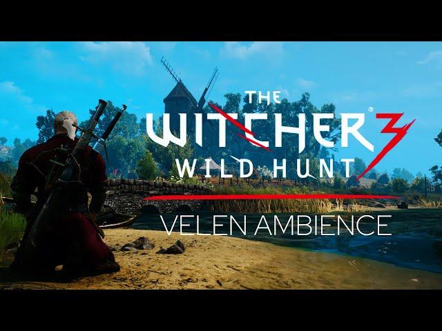 Witcher 3 - Velen - Music & Ambience - Meditate like a Witcher