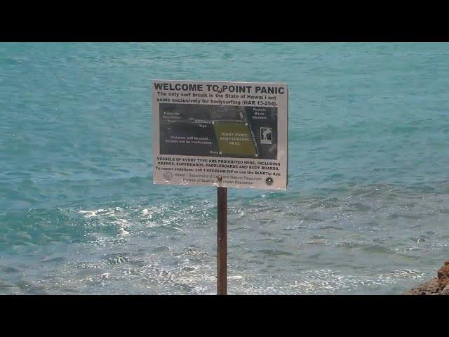 Shark activity increasing off Oahu shores