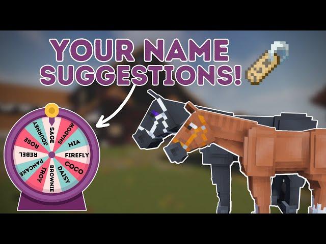 I let the wheel decide again...NAMING my 5 NEW horses! Minecraft SWEM RRP