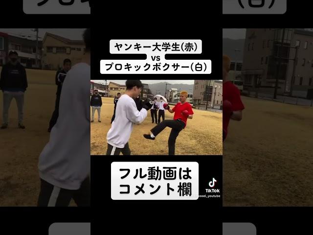 ヤンキー大学生とプロキックボクサーが路上でガチスパーリング