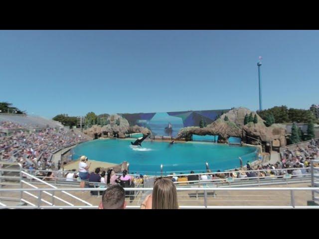 VR180 - SeaWorld San Diego Zoo Days: BBQ & Brews - Orca Show - Saturday 19th 2020 (1/3)